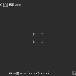 【透過素材】ビデオカメラ ●REC表示 AviUtl用おまけ付き