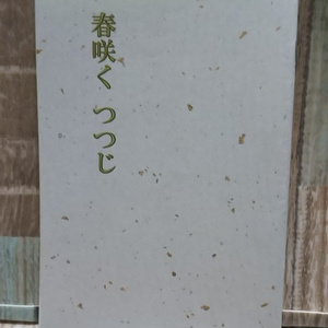 [34]春咲く つつじ