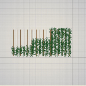 3d  草　外　