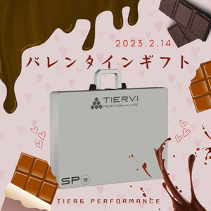 【無料】【VRChat向け】バレンタインギフト 2023 T6 PERFORMANCE