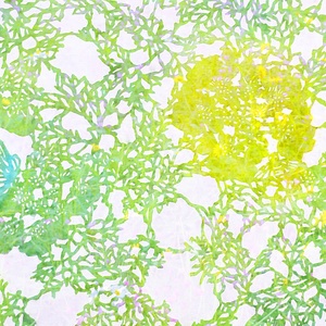染織作品　PC壁紙