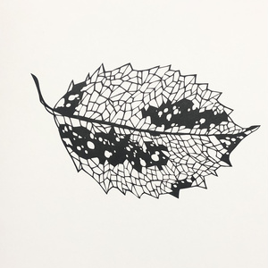 アナログ コピック金属塗り こめこのマンガ Pixiv