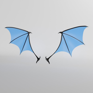 翼　wing