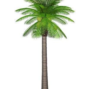 なんとアバター、ヤシの木。PalmTree