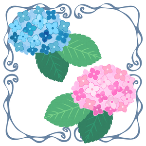 フリーイラスト素材　紫陽花