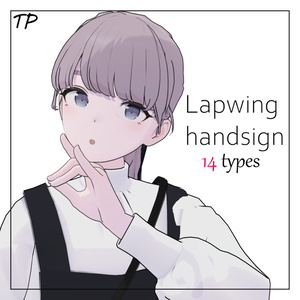 【Lapwingちゃん用】ハンドサイン・ジェスチャー【シークレットあり】