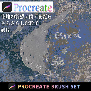 Procreateのテクスチャ「プロブラシ」生地の質感 / 傷 / まだら / ざらざらした粒子 / 破片...