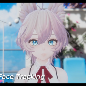 Season 1: Lurunet - Face Tracking Add-On