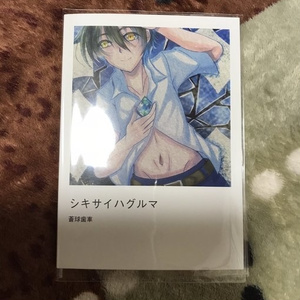 シキサイハグルマ