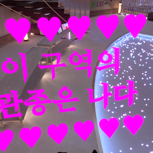 3D오브젝트 3D Object