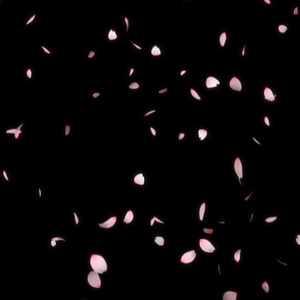 【素材屋 蛇藤】無料映像素材│桜・桜吹雪・桜の花びらが降り注ぐ