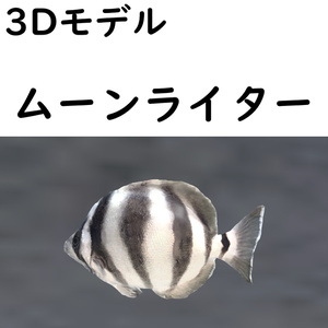 ムーンライター【VRChat想定】