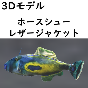 ホースシューレザージャケット【VRChat想定】