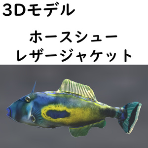 ホースシューレザージャケット【VRChat想定】