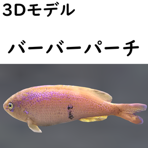 バーバーパーチ【VRChat想定】