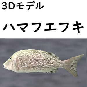 【48時間限定無料】ハマフエフキ【VRChat想定】