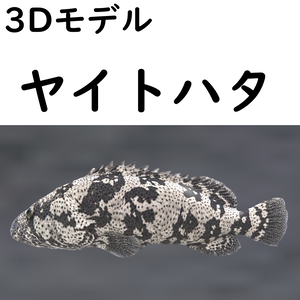 【48時間限定無料】ヤイトハタ【VRChat想定】