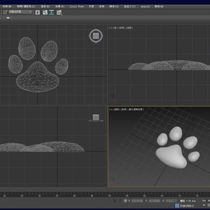 Cat's paw (meat pad / parts)