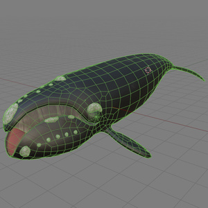 【３Ｄモデル】セミクジラ 缩略图 2