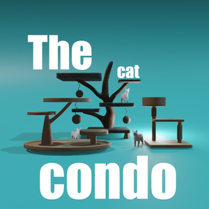 The cat condo