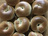 BAGLES