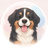 🐾しおぽーほーむ🐾