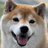 taiin