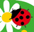ladybug(miyoko)