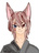 wolf-kougetu