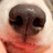 ティーショップ