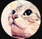 野良猫Tools
