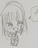 こはくとう