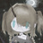 shichipara