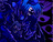 MainControl_Room01