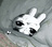 morute_bunny