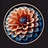 Dahlia