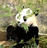 Yuki.M-quiz