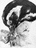 penguinatelier