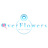 OverFlowers Official Shop