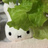 生活圏