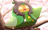 xiluoyou