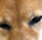 あさりのりまき