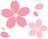 櫻祭