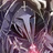[phantom pluvia]