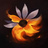 Fire Flower | 火の花