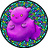 purpleflower