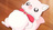 precure5