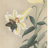 江戸川天気研究所