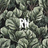 Re-NEWAL