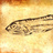 Eastport Lab